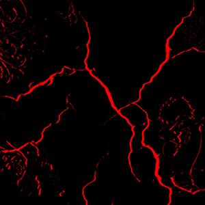 Oxxblud (feat. Waas GK)