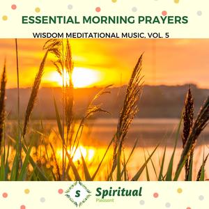 Uncrashable Positive Aura