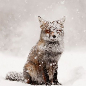 Losing Your Memory (Sped Up)