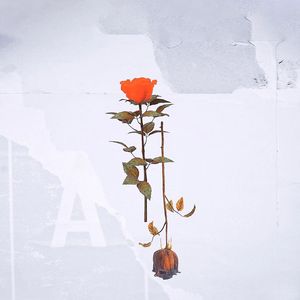 解药（prod.by Ljx Ghost）