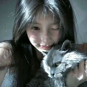 鼠牛功夫高