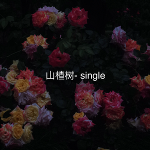 山楂树（独唱）