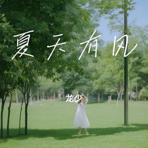 夏天有风