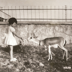 Söylemeden Anladık