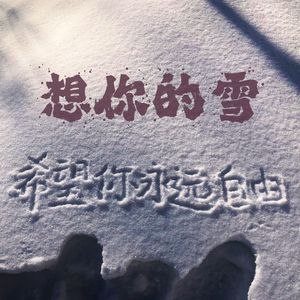 想你的雪