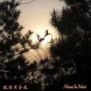 FALL IN NIGHT（Feat.Hacchill）