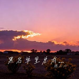 黑名单里总有故人 (Cover 王佳音)