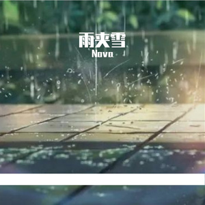 雨夹雪
