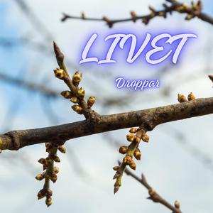 Droppar