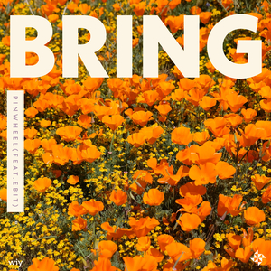 Bring (feat. Ebit)