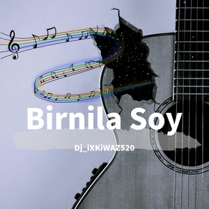 Birnila Soy