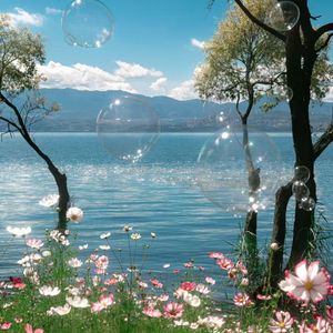 金色田野的欢歌