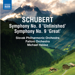Symphony No. 8 in B Minor, D. 759, "Unfinished":I. Allegro moderato