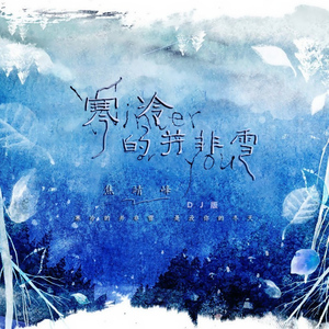 寒冷的并非雪 (Dj版)