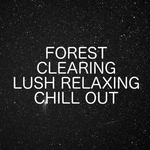 Ambience For A Better Life