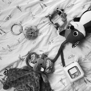 Tavaszi szél (Radio Edit)