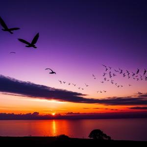 Splittin Yo Wig (feat. PLURQ)