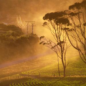 Dustlight (feat. Andrew J Klimek)