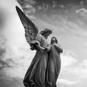 Wings in a Dream（梦中的羽翼）