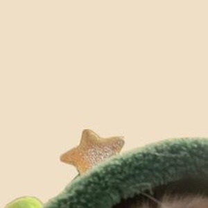 Hood Bitch Aesthetic (slowed)