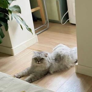 随行笔记0525 Remix by O.W.