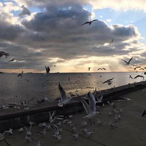 我还是想问你还是想爱你