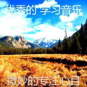 微妙的专注心情