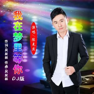 我在梦里等你（DJ版）