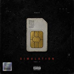 SIMulation
