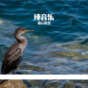 晨曦微光中的海浪私语