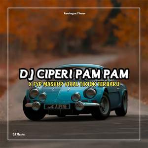 DJ Ciperi Pam Pam