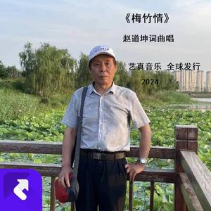 梅竹情 (现场)