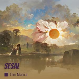 Sesal