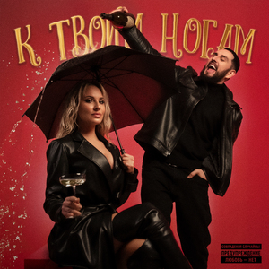 К твоим ногам