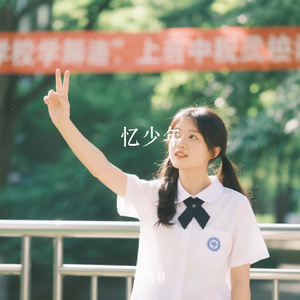 忆少年