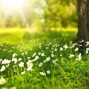 谁对我好我就对谁好 (烟嗓版)