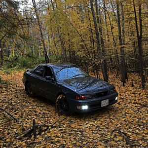 反转进行曲(overturn)