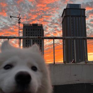 我说今晚月亮那么美，你说是的