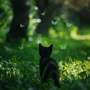 通往秘境的小路