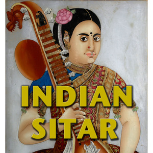 Raag Koushiki (Trad.) / Alaap / Jor Alaap
