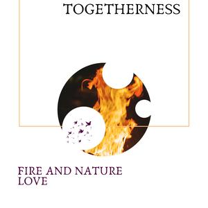 Affection Of Crickets Night