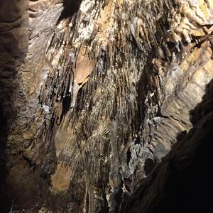 My Message to the World