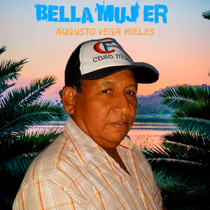 Debajo del Manguito