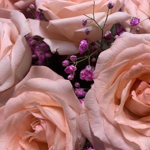 Lil Nas X-Love in the wind（pure remix）