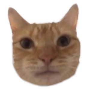 仇人的孩子（Cover 蛋堡）