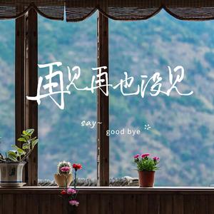 再见在也没见（DJ版）