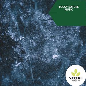 Pretty Northern Flicker