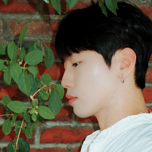 찾는거야