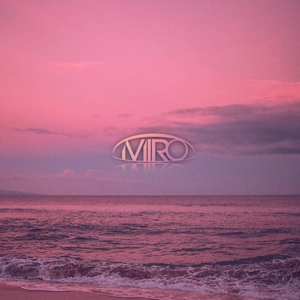 Friends (Miro Remix)