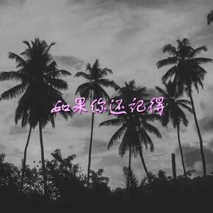 Sarcastic Sounds-如果你还记得*（FunnyM0nK3y* remix）